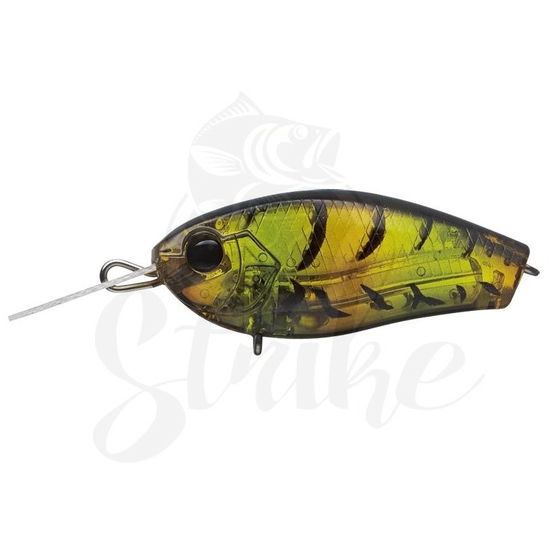 EVER GREEN FACT CRAFT