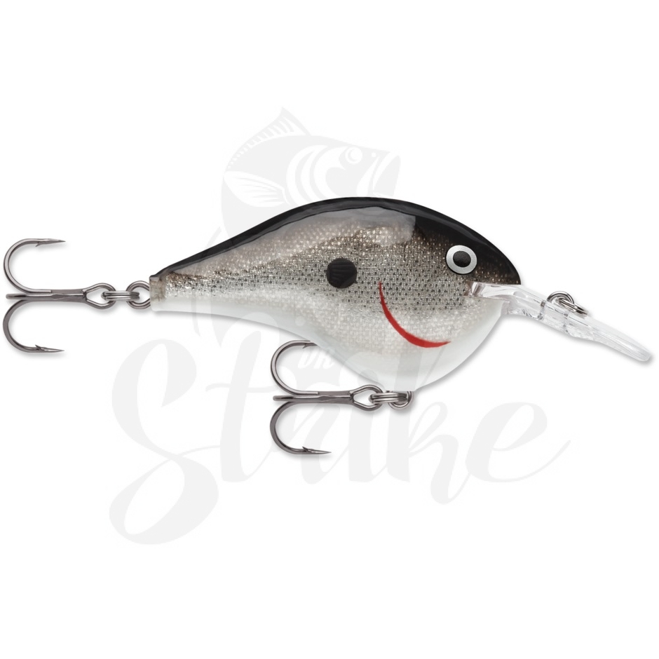 RAPALA DT (DIVES-TO) SERIES