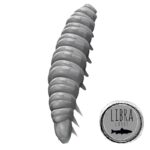 Libra-Lures-Larva