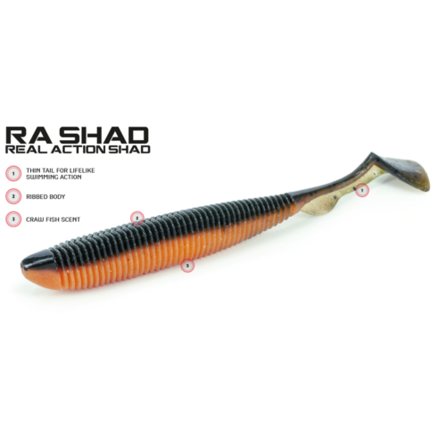 MOLIX RA SHAD