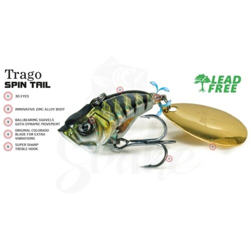 MOLIX TRAGO SPIN TAIL