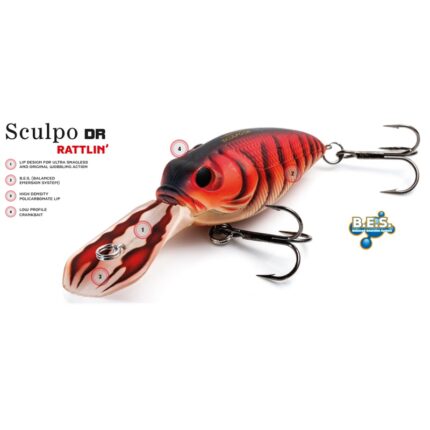 molix_sculpo_dr