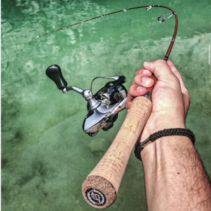 canne_trout_area