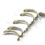 amettiere_agoni_sardine